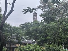 -顺峰山公园