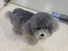 -萌兽医馆·宠物医院·猫骨科(创景店)