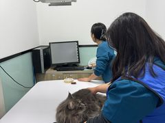 -嘉馨宠物医院·CT影像转诊·心脏科·犬猫全科诊疗中心(下沙大学城院区)