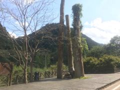 -宁海森林温泉