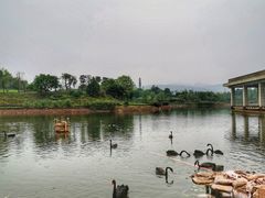 -三岔湖环球融创天堂洲际酒店水乐园