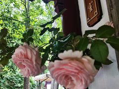 -祝家花園(伯渎港店)