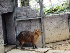 -宁波野生动物园