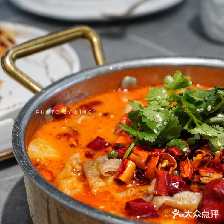 杭州创意菜天花板💘氛围感拉满