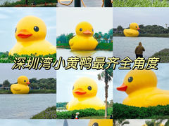 -深圳人才公园