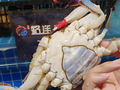 -乔哥铭洋海鲜自助(皇城恒隆广场店)