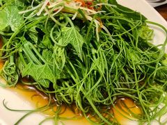 丝瓜尖-苹果树下艺术餐厅(宋庄店)