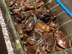 -Isla Sugbu Seafood City