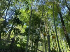-花水湾第一村温泉大酒店