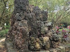 -海口火山口国家地质公园