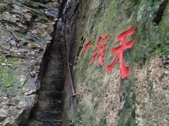 -天女山森林公园