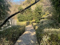 -天目湖涵田半山温泉