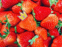 红颜草莓-盒马鲜生(悠方店)