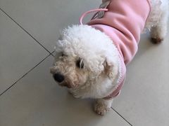 -怪兽屋·羊驼·猫咖·狗咖(俊华广场店)