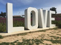 -北纬44度·金珠花海休闲农业旅游景区