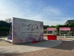 -嘉定紫藤园