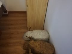 -朴境采耳·足道按摩(科学大道旗舰店)