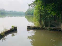 -三水森林公园