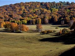 -塞罕坝国家级自然保护区