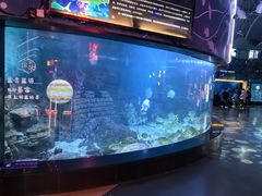 -烟台海昌鲸鲨海洋公园