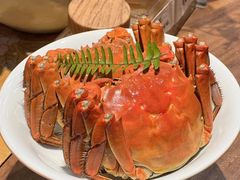 -恬阿姨庭院餐厅·生日宴