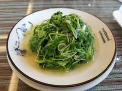 清炒灵芝菜-自游人·美食一楼·地道徽菜(三十年名店)