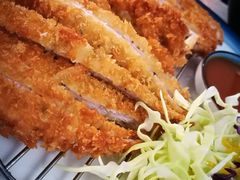 -猫头鹰炸鸡