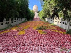 -蒙山大佛景区