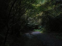 -夏霖九天银瀑风景区