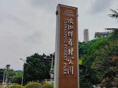 -铁山坪森林公园