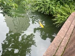 -上海虹桥宾馆(郁锦香品牌酒店)