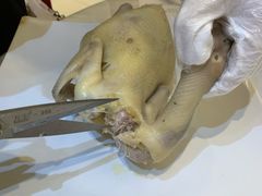 -有腥气私房菜·寻味顺德