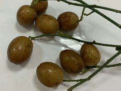 -企鹅岛