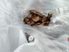 -顺城金记卤鸡·清真