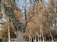 -汉长安城未央宫国家考古遗址公园