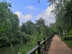 -白鹭湾湿地公园