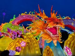 -武汉园博园(武汉自然博物馆)