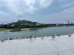-海驴岛(荣成市)