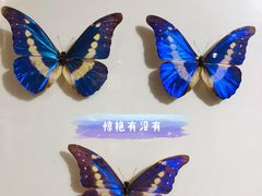 -上海昆虫博物馆