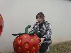 -建德果蔬乐园绪塘草莓基地