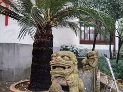 -秋霞圃