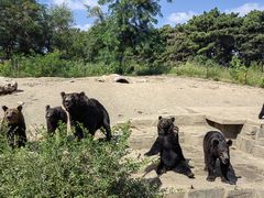 -沈阳森林动物园