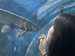 -苏州海洋馆