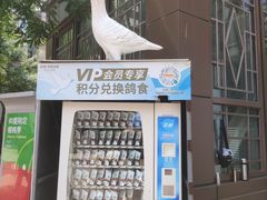 -中粮·祥云小镇