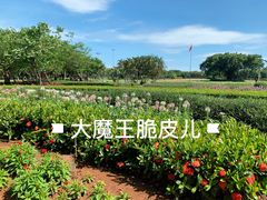 景点-万绿园