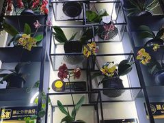 -街角 T·COFFEE 融合料理·BISTRO(车公庙店)