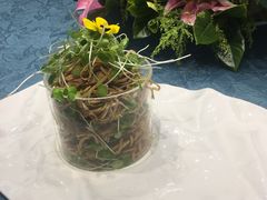 -新廊桥(原科华廊桥店)