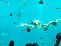 -瑞德姆美人鱼海底演艺主题餐厅(亚龙湾店)