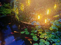 -广州白天鹅宾馆