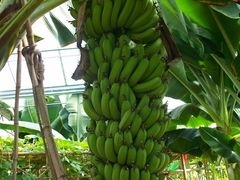 北京观光南瓜园&nbsp;(46)-观光南瓜园